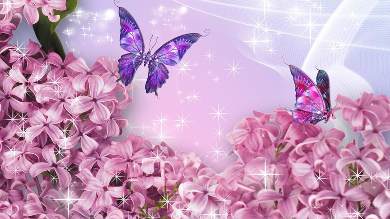 shine, pink, flowers, butterflies, spring, lilacs, 1080P, stars, blue, firefox persona, netting, 3d, lavender, silk