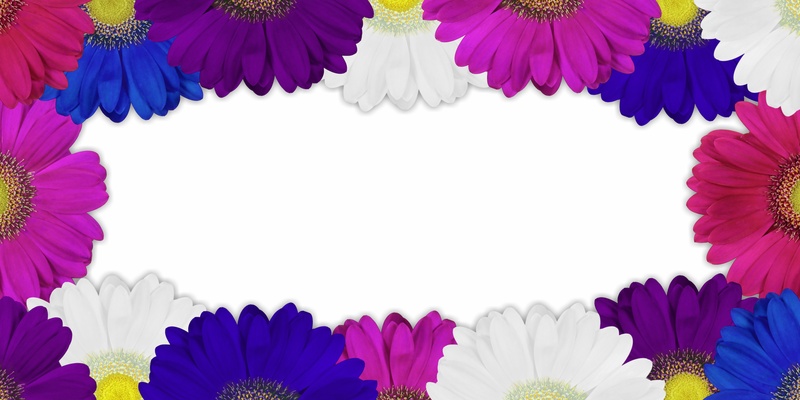 fragility, no people, pink color, flower head, outdoors, close-up, map, decor, beauty in nature, mothers day, freshness, digital composite, flora, copy space