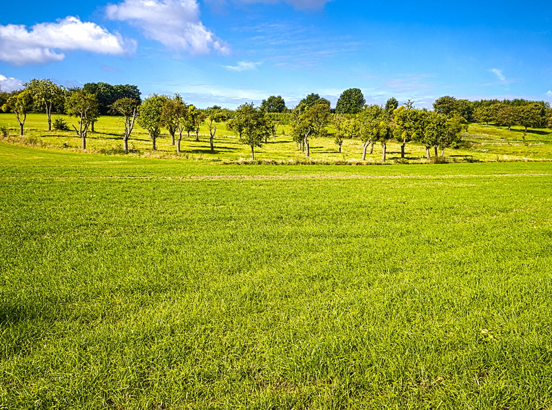 scenics, green, blue, sky, mistletoe, land, field, hill, trees, agriculture, outdoors, nature, fields, landscape, grass  green, europe, farm, green  blue