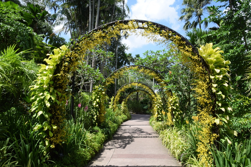 park, plants, 5K, sky, garden path, pathway, green color, concrete, green, leaf, singapore, nature, growth, outdoors, beauty in nature, the way forward