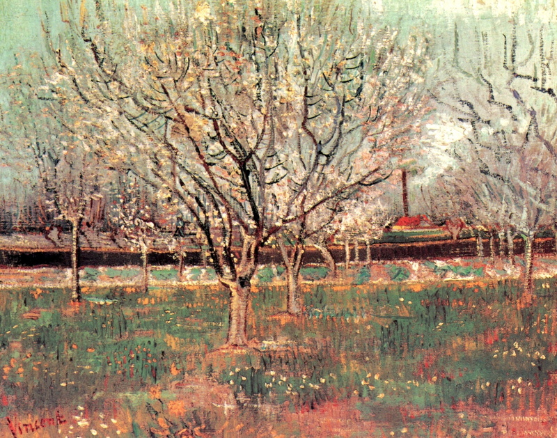 Orchard in Blossom, 1080P, Plum Trees, flowers, Vincent van Gogh, trees