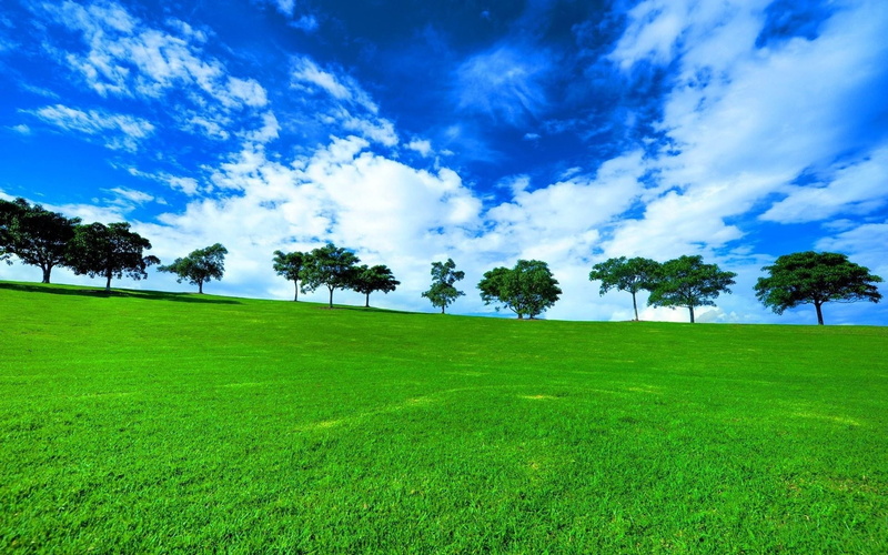 background, landscape, orchard, grass, 1080P, spring, trees