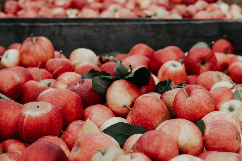 day, ripe, red, container, apple picking, apples, 1080P, fresh, retail, fall, close-up, apple juice, abundance, large group of objects, no people, lot
