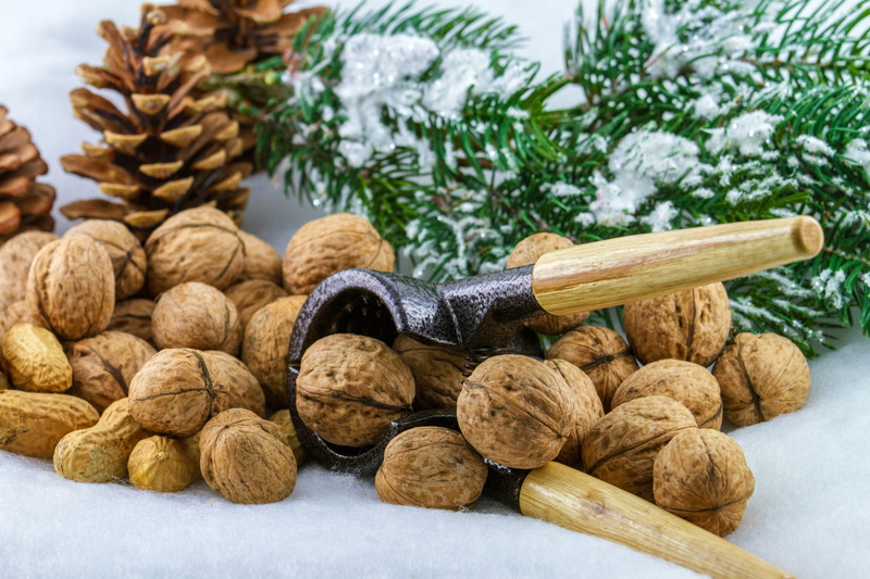 cardamom, advent, plant, healthy eating, fruit, christmas time, nut - food, freshness, eat, no people, 5K, focus on foreground, nutcracker, coniferous tree