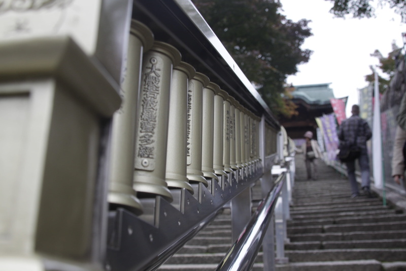 selective focus, travel, railings, metal, architectural column, no people, repetition, trees, nature, tree, transportation, 4K, outside, architecture