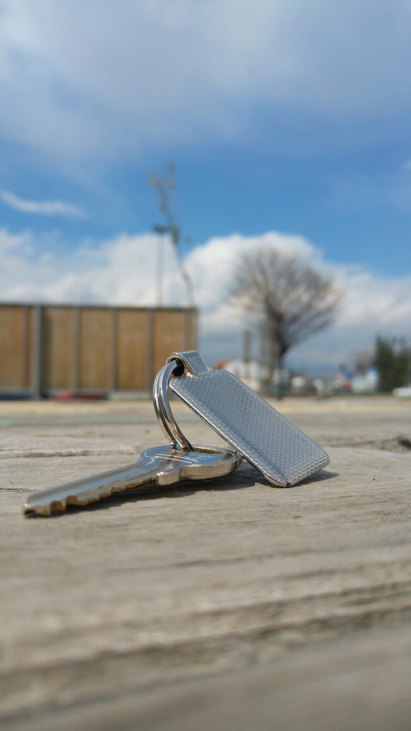 nature, keychain, detail, decor, no people, day, selective focus, web design, wood - material, 5K, surface level, introduction, shiny, design, focus on foreground