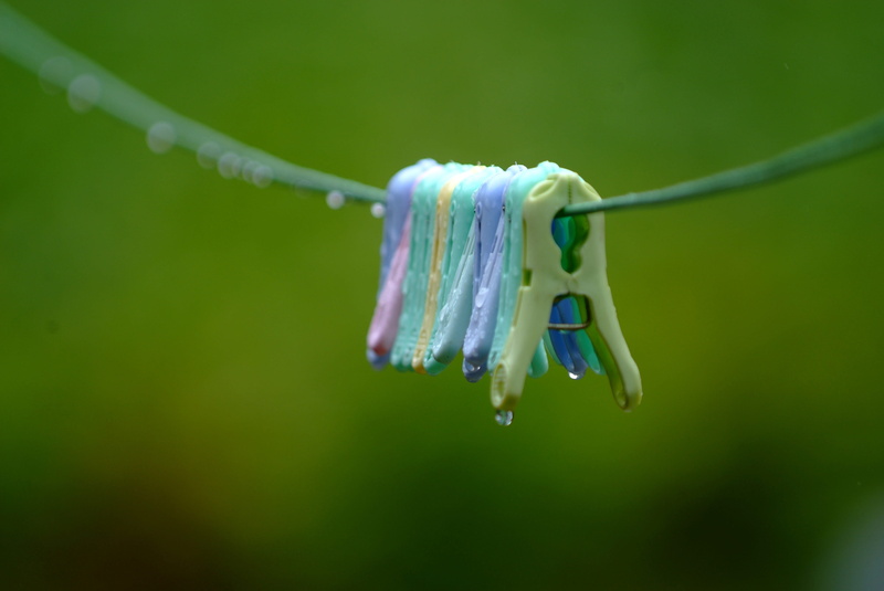 home introduction, wire, nature, day, drop, 4K, this type, clothespin, extreme close-up, green background, clothesline, wet, clothing, icicle, non, close-up