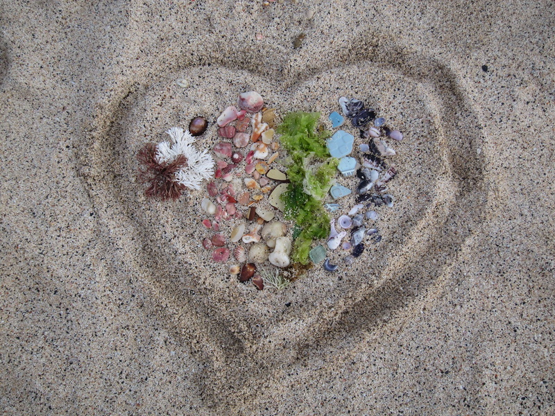 fragility, love, sand, directly above, sand beach, flower, introduction, high angle view, outdoors, flowering plant, close-up, land, day, beauty in nature