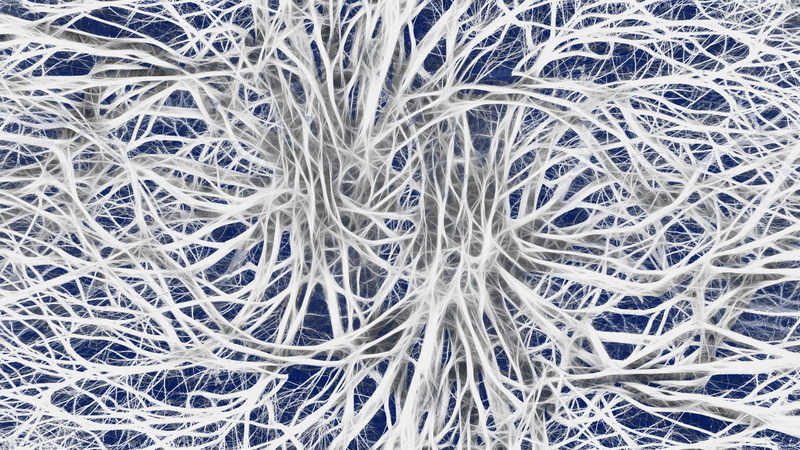 close-up, transduction hub, nerve cells, control, synapse, pattern, pulse, tangled, science, nervous system, cold temperature, ice, texture, frost, nervengeflecht