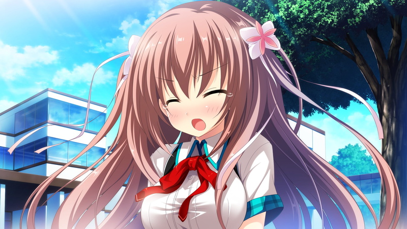 motoi, mina, ayumu, pulltop, 2K, function!, hasugase, cocoro