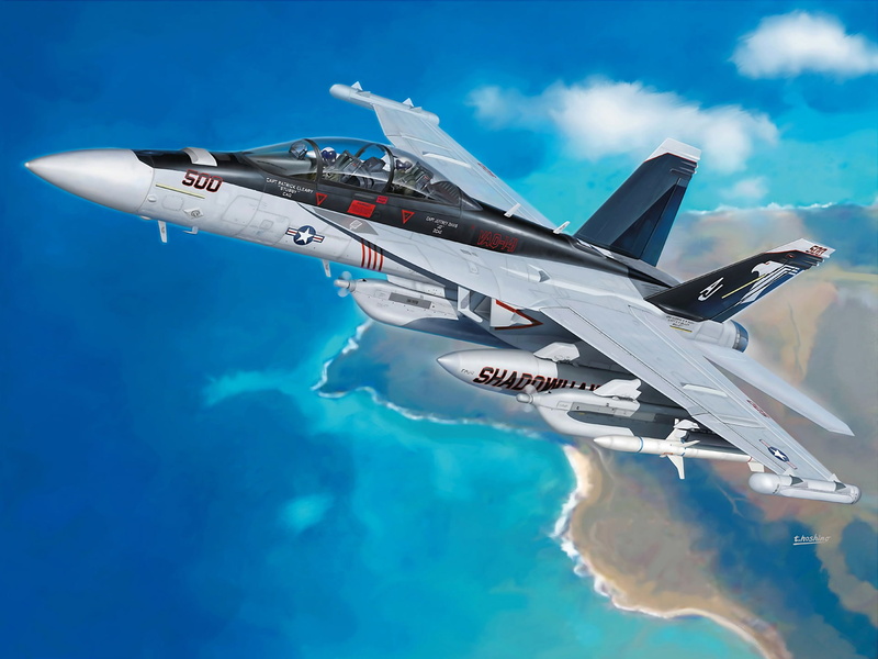 the firm, fight, F-A-18F, 1080P, no people, plane, database, sky, air vehicle, nature, outdoors, Growler, fighter, Classic guitar player keyboardist pianist