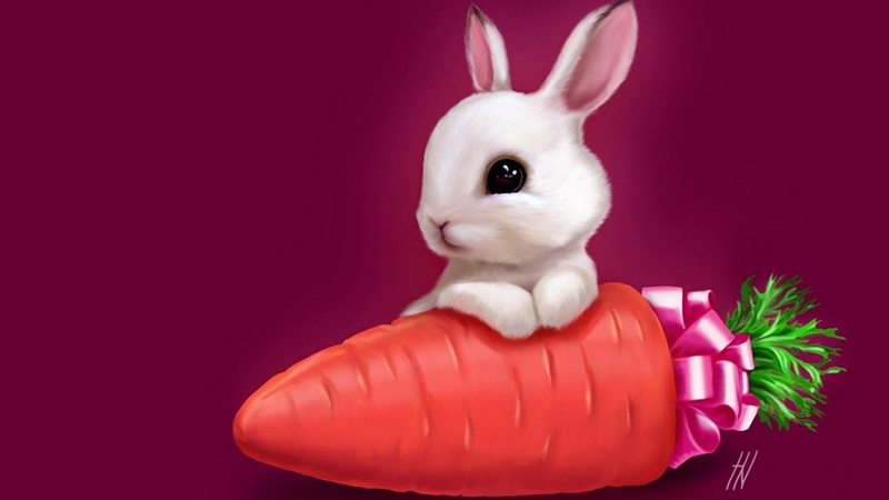 bunny, rabbit, 1080P, carrot