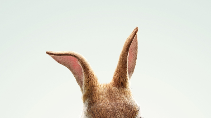 Peter Rabbit, 2K, Animation, 2018