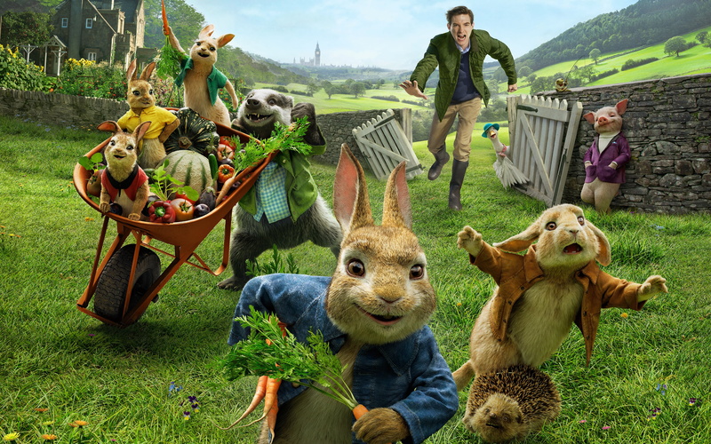 4K, pig, Peter Rabbit, guy, rabbits, cartoon