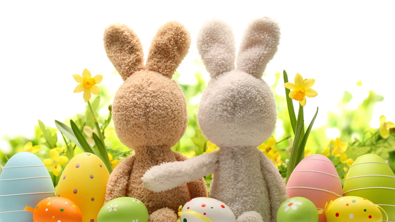 Rabbit, Eggs, Easter, 4K, Flowers, Decoration, Happy