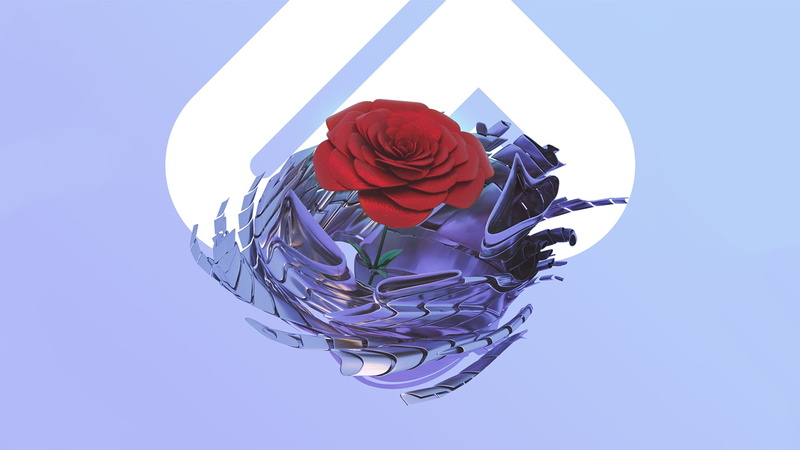 rose, clear sky, 1080P, plant, fragility, sky, blue, red, nature, no people, flowering plant, outdoors, high angle view, Monstercat, day, vulnerability