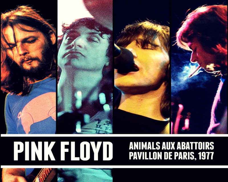 progressive, 720P, classic, psychedelic, hard, floyd, rock, pink