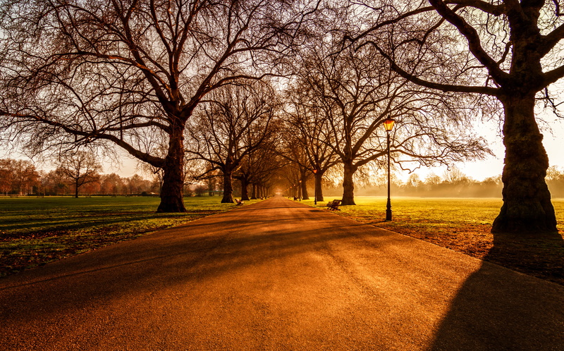 Battersea Park, 5K, London, Sunrise