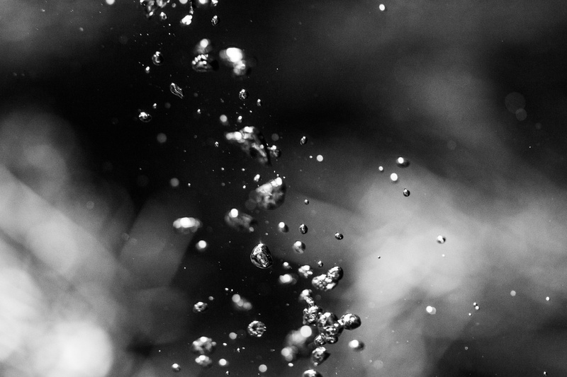 freshness, fresh, raindrop, breath, fragility, contemporary, drop, drowning, outdoors, environment, selective focus, wet, focus on foreground, air, idea