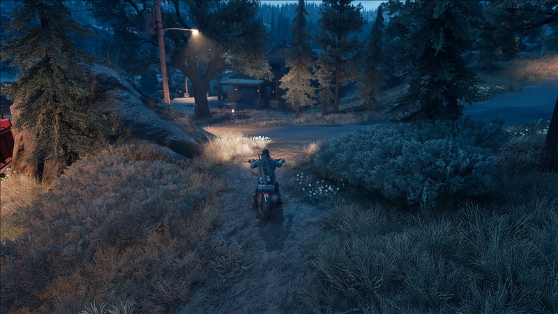 1080P, screen shot, Days Gone, Deacon St John
