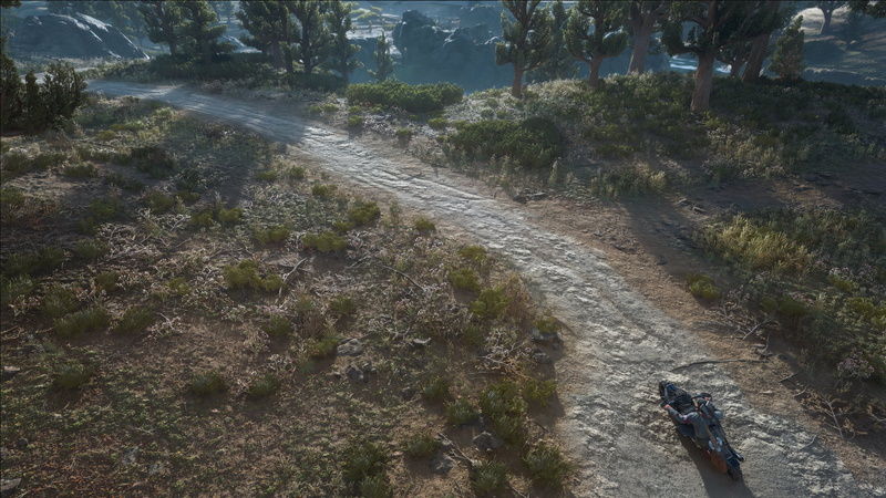 Days Gone, 1080P, Deacon St John, screen shot