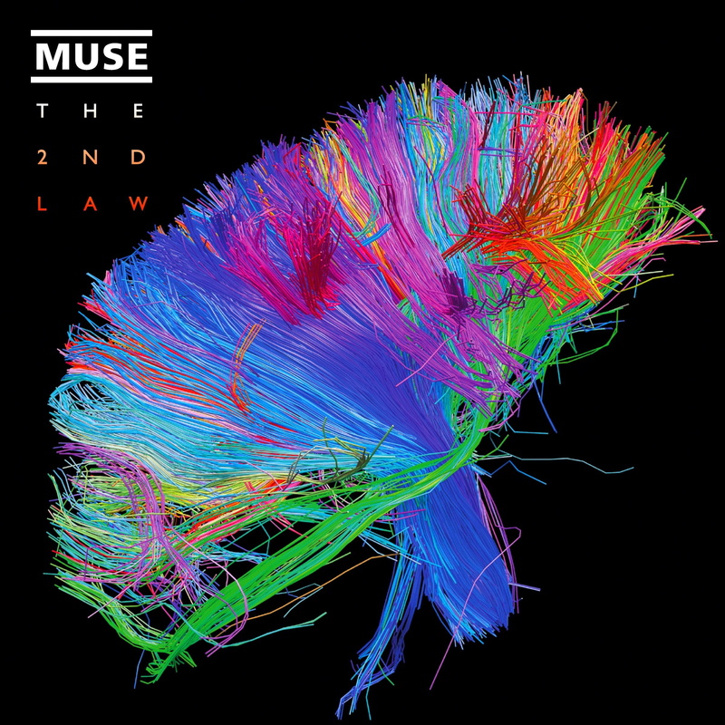 muse, medical exam, close-up, science, illuminated, healthcare and medicine, medical x-ray, connection, studio shot, motion, mri scan, anatomy, indoors