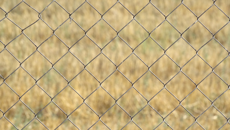 pattern, security, built structure, close-up, focus on foreground, backgrounds, outdoors, day, crisscross, barrier, chainlink fence, nature, no people