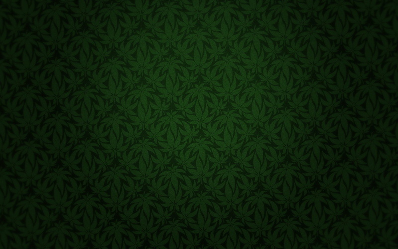 design, textured, growth, textile, backgrounds, close-up, pattern, high angle view, plant, nature, no people, art and craft, full frame, directly above