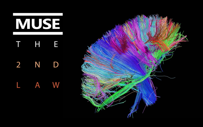 medical x-ray, brain, cover, text, blurred motion, no people, colors, 1080P, bundle, speed, multi colored, black background, motion, communication, copy space