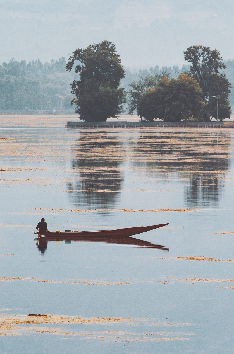 srinagar, trees, plant, lake, tranquility, tree, jammu and kashmir, mode of transportation, nature, boatman, nautical vessel, outdoors, motion, transportation