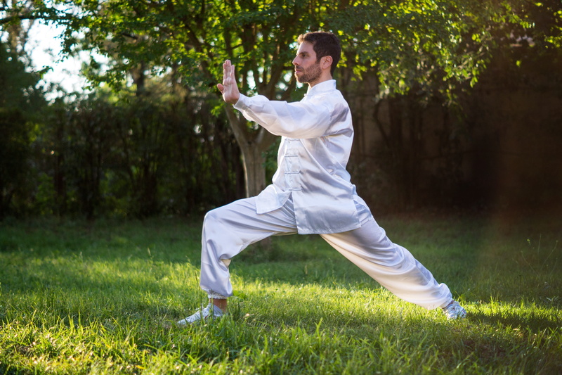 enlogar, martial art, outdoors, males, sport, meditating, active, 5K, nature, open air, clothing, land, taiji, concentration, exercising, adult, motion