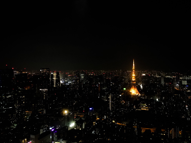 minato, tower, cityscape, travel destinations, illuminated, nature, office building exterior, city light, outdoors, japan, night light, skyscraper, view