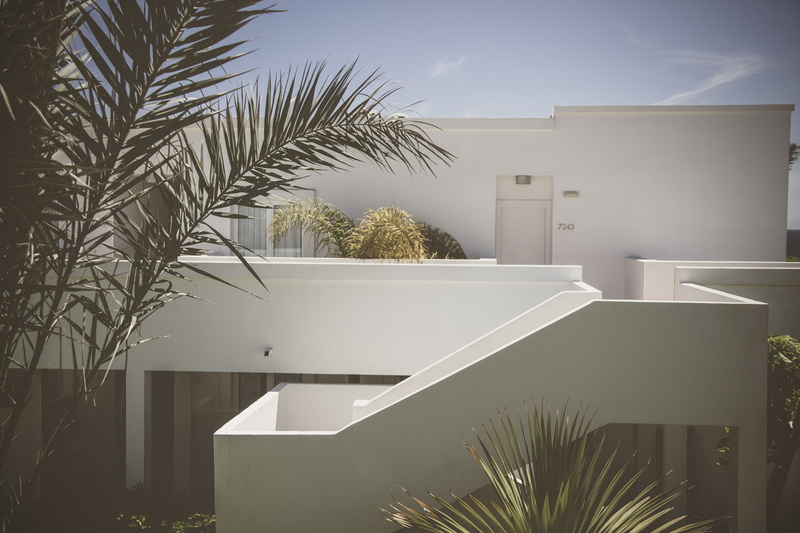 houseplant, home decor, day, palm tree, palm leaf, tropical climate, bulding, sunlight, no people, plant, condo, grass, white, built structure, house, sky