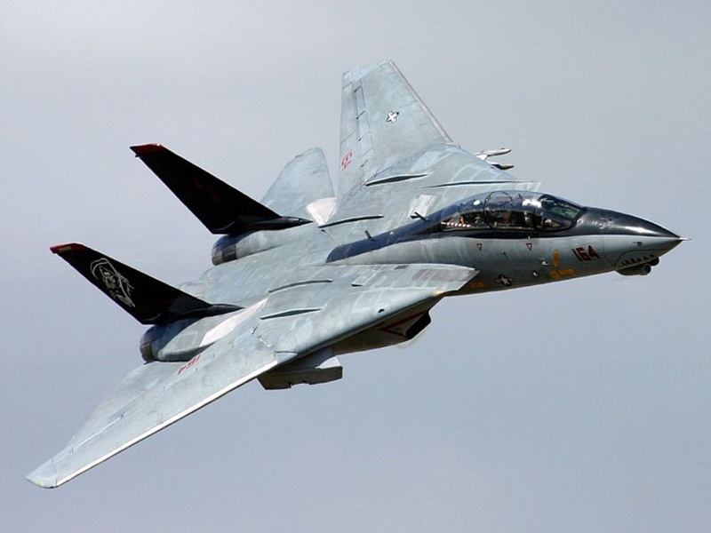 grumman, carrier, F-14, art, hd, Tomcat, military, aircraft, 480P, f