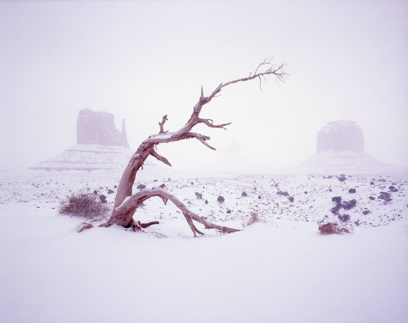 winter canyon, Winter, extreme weather, Canyon, scenics - nature, beauty in nature, cold temperature, dry, plant, bare tree, Season, winter season, snowing