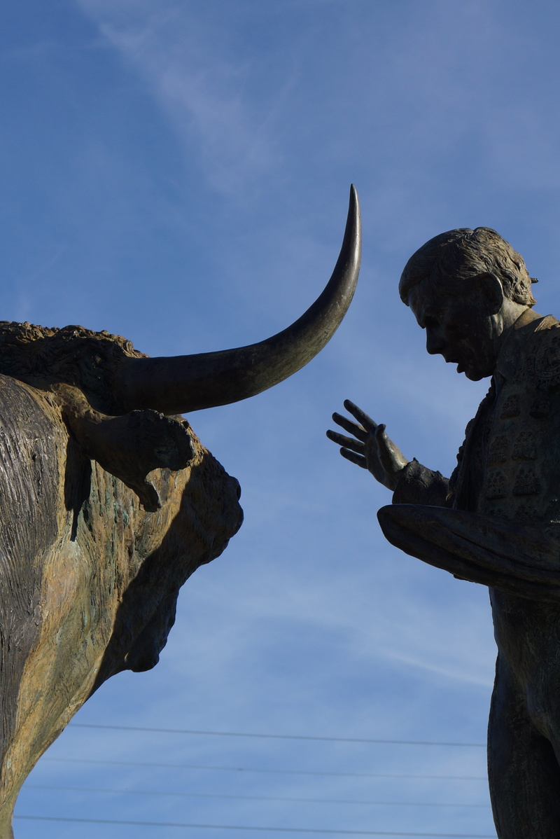 sculpture, low angle view, 4K, outdoors, day, no people, bull, sky, tree, france, cloud - sky, statue, black, tranquility, against day, art and craft
