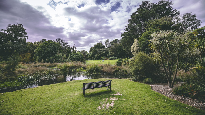 land, garden, green, tranquil scene, no people, bench, day, tan track, park, melbourne, 5K, plant, vic, scenics - nature, green color, growth, cloud - sky