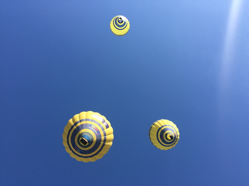 copy space, group of objects, animal, spiral, animal shell, sky, airship, snail, sport, nature, no people, animal wildlife, shell, fly, 2K, ballooning
