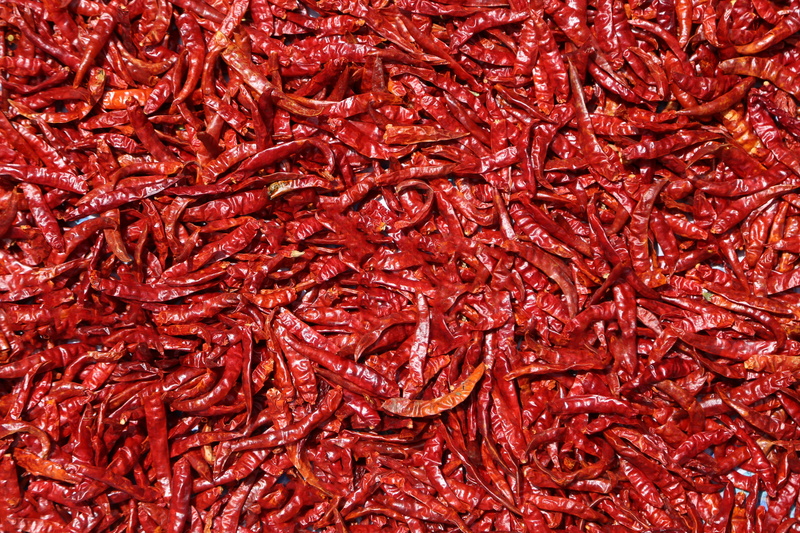 chili pepper, dehydrated, no people, dry, pepper, red, photo, chilli, backgrounds, natural, lay, spices, full frame, seasoning, still life, dried food