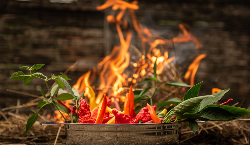 piquant, growth, close-up, plant part, freshness, focus on foreground, fire, 5K, herb, hot, burning, chili, leaf, red, wellbeing, healthy eating, food