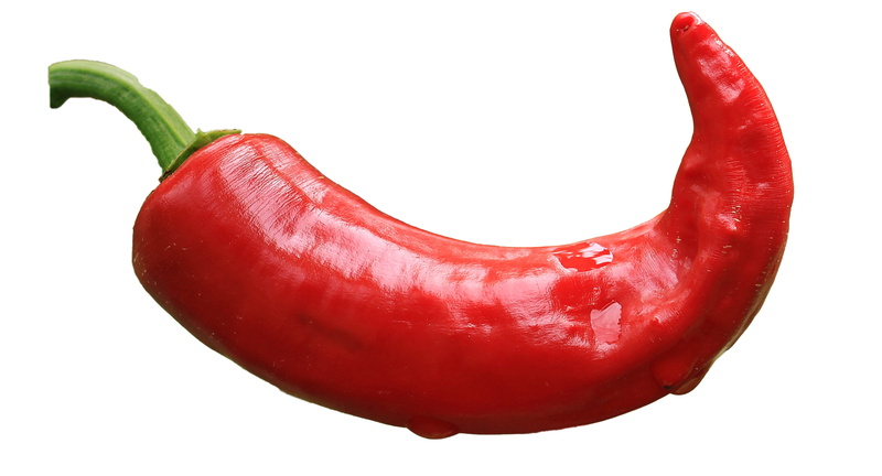 nature, chilli, spice, food and drink, red chili pepper, chili, fresh, freshness, food, close-up, jalapeno, indoors, healthy, pepper, vegetarian food, white