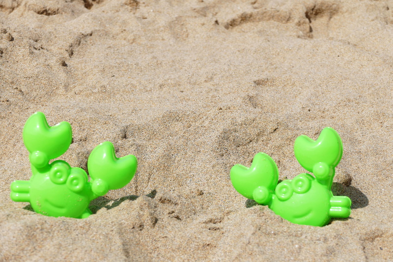 travel, crustacean, 4K, shellfish, scenic, day, tropical, shore, high angle view, animal representation, vacation, two, animal, children, outdoors, sand
