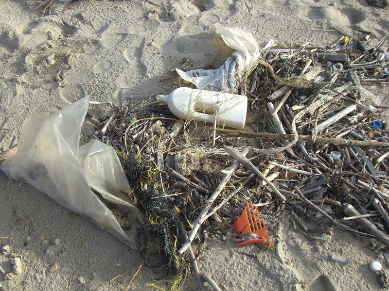 attention, abandoned, vertebrate, garbage, animals in the wild, bags, environment, 2K, thrown away, sea, daytime, twigs, garbage collection, plastic, high angle view