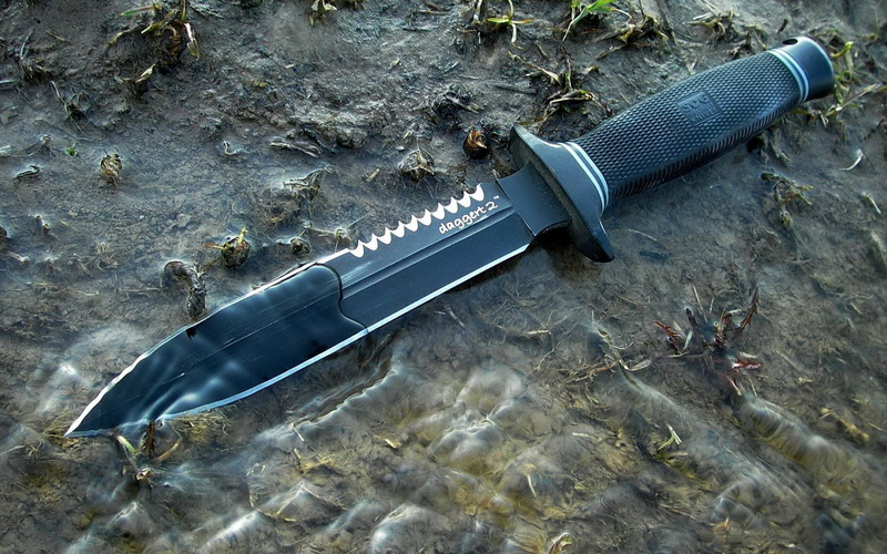 plastic, pollution, combat, beach, sharp, underwater, animal themes, nature, close-up, blade, steel, animal, vertebrate, black, high angle view, 1080P