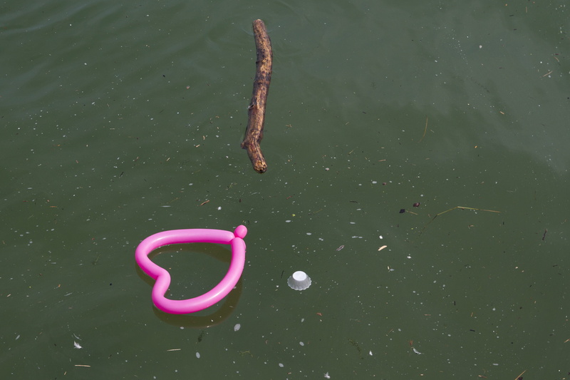 single object, floating, plastic, green color, floating on water, flotsam and jetsam, outdoors, day, nature, environmental protection, animal, beach, no people