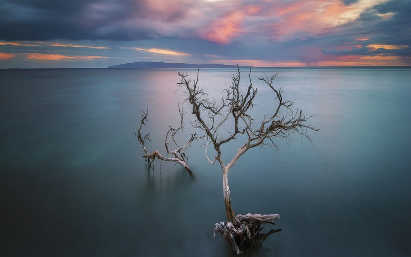 dead trees, hills, lake, calm, clouds, water, nature, 1080P