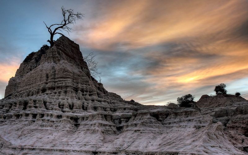rock formation, sandstone, dead trees, landscape, 1080P, nature, HDR