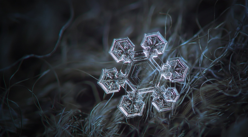 outdoors, silver colored, Winter, detail, fragile, depth of field, tree, religion, shiny, unique, focus on foreground, Photography, hexagonal, Snow, intricate