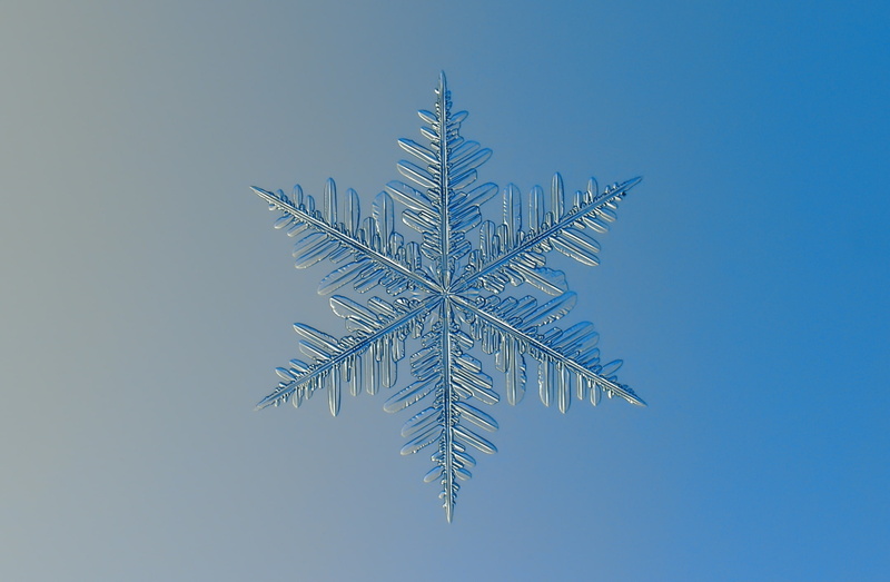 nature, blue background, blue, sky, low angle view, cold temperature, Macro, symmetry, day, Frozen, Fractal, microscope, Snow, Stars, clear sky, Photography