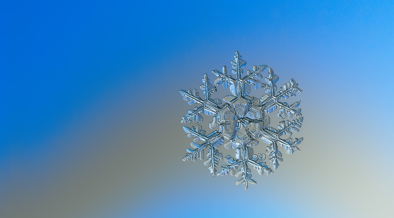 day, 2K, microscope, Small, Macro, connection, detail, no people, Fractal, copy space, technology, cold temperature, intricate, Real, Frozen, low angle view